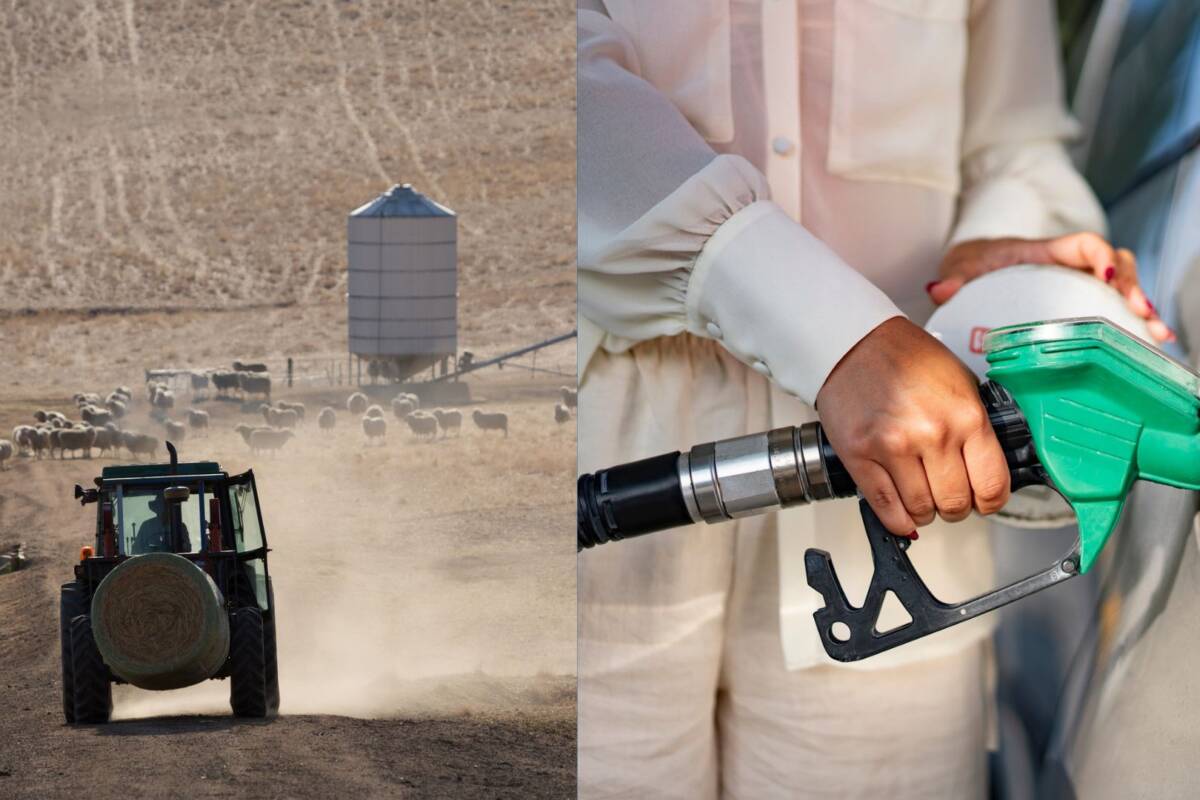 Article image for ‘Food vs fuel’: The grim new reality for both farmers and city dwellers