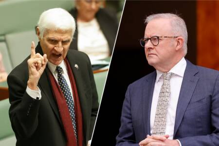 What Bob Katter has urged Anthony Albanese to do amid fuel crisis