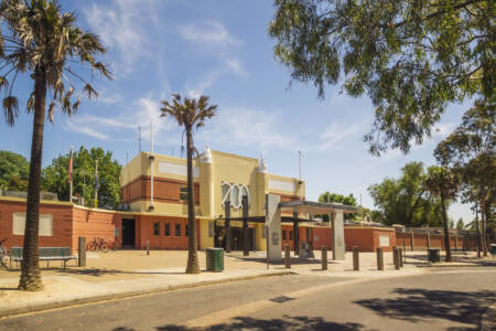 The (very cute) new arrivals now at Melbourne Zoo
