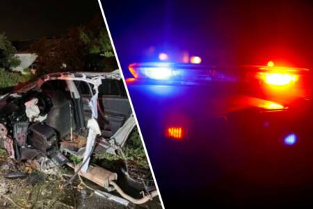 ‘Unbelievable’: Driver’s whereabouts unknown after high-speed crash splits car in two