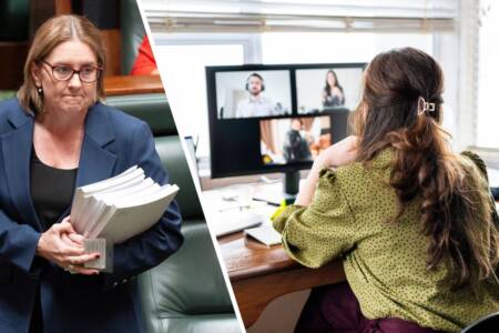 Tom Elliott takes issue with ‘gaping hole’ in Jacinta Allan’s latest work from home update