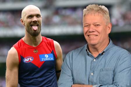 Jon Anderson’s big call on Max Gawn after influential performance in win over Saints