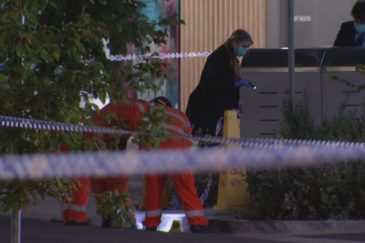 Article image for Family friend of good Samaritan hacked to death delivers powerful message