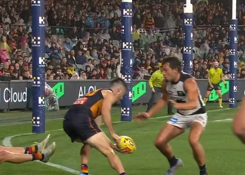 Article image for Leigh Matthews voices concern with ARC interventions