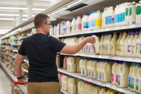 ‘Virtue signaling’: Why the proposed milk levy won’t save Australia’s dairy farmers