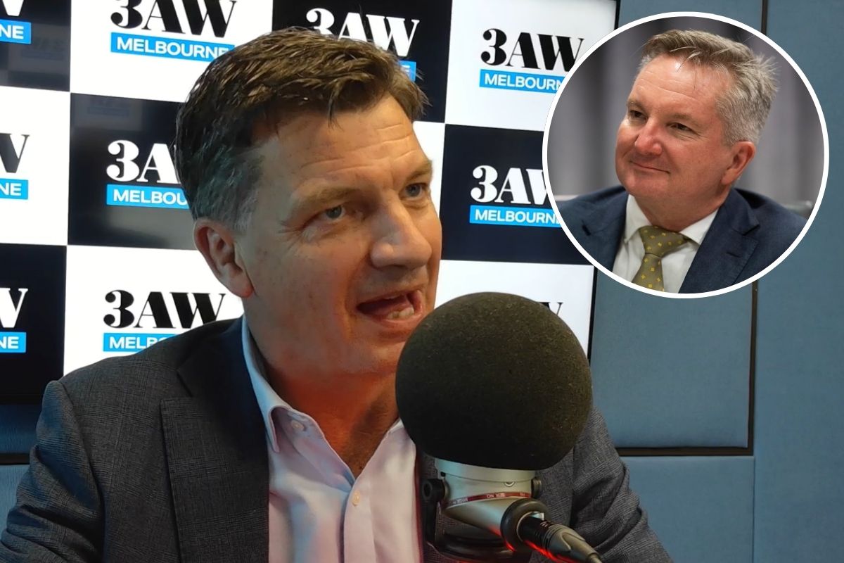 Article image for ‘He gaslights people’: Angus Taylor takes aim at Chris Bowen