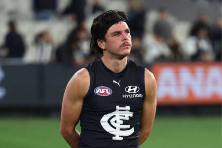 Joel Selwood and Tony Shaw comment on Elijah Hollands situation