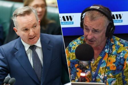 ‘It worries me’: What Tom Elliott’s ‘fear’ is in relation to Chris Bowen