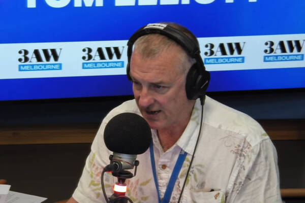 'We are being run by idiots': Tom Elliott blasts state and federal governme