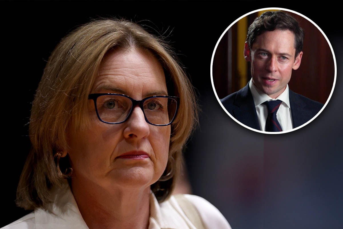 Article image for Nick McKenzie reacts to Premier’s ‘no evidence’ North East Link claim