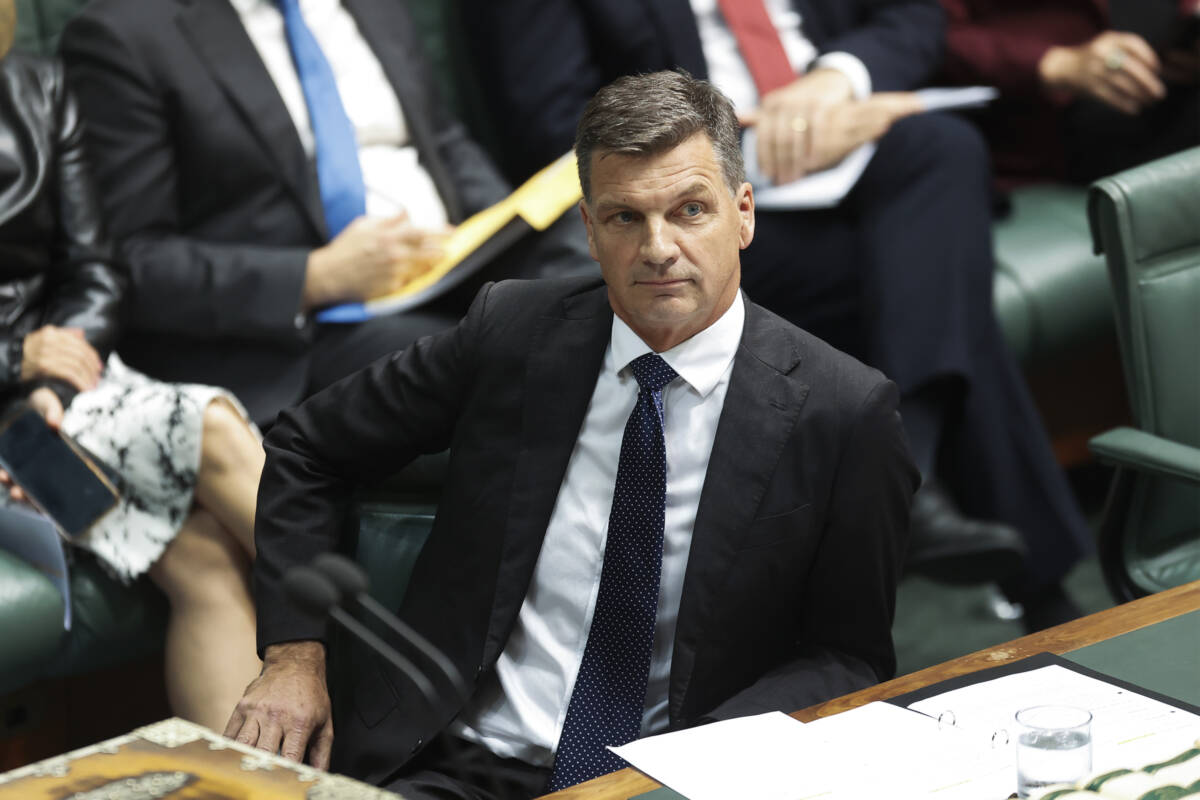 Article image for ‘It’s a war on aspiration’: Angus Taylor on his Budget reply
