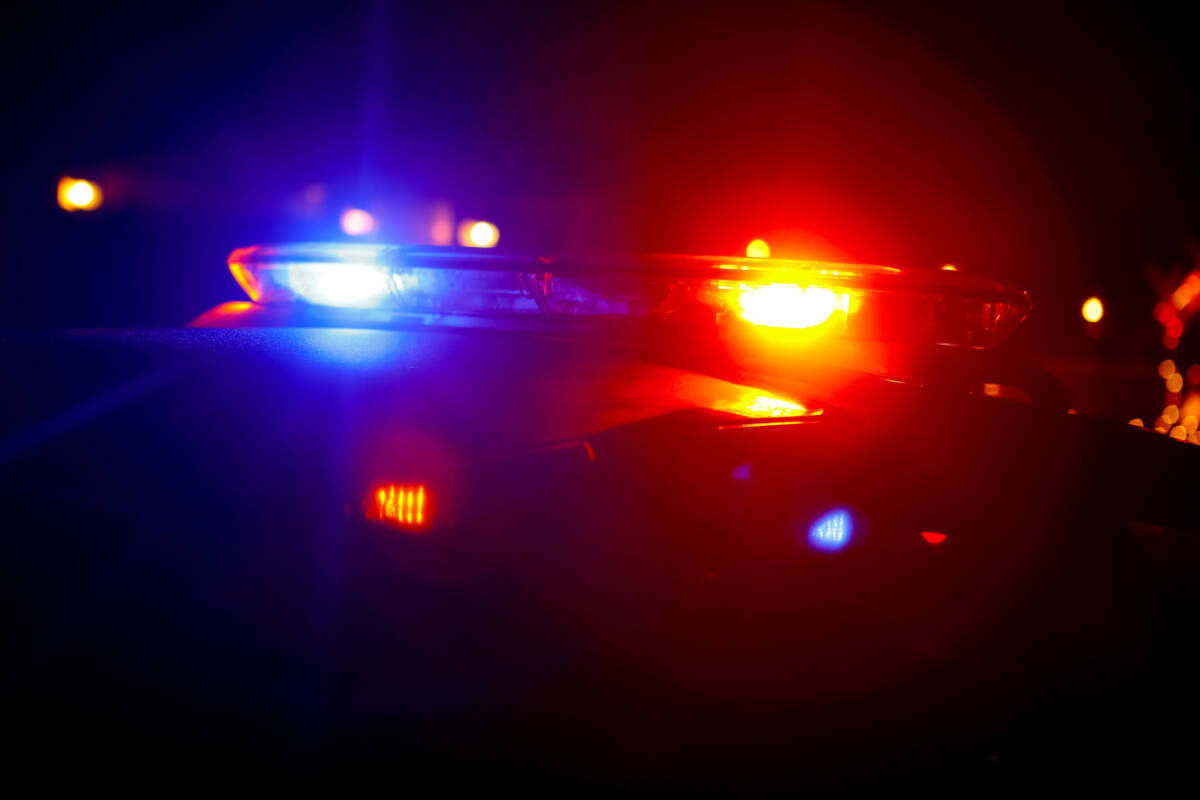 Article image for Three teens arrested after crime spree in Wyndham