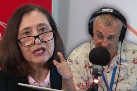 ‘It’s not reliable!’: Tom Elliott clashes with Lily D’Ambrosio over energy future