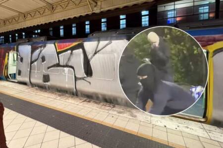 ‘Quite concerning’: Brazen masked offenders vandalise train on the Hurstbridge line