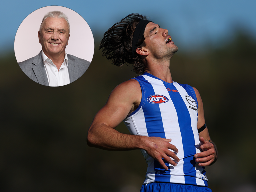 Article image for ‘An embarrassing day’: Tony Shaw slams North Melbourne after horror loss