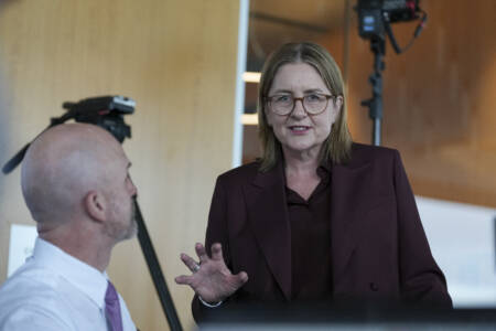 ‘She has no idea’: Jacinta Allan takes over business council amid WFH tensions