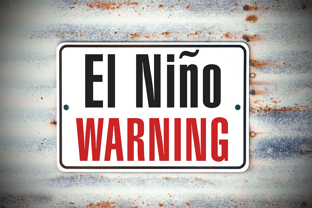 Article image for El Niño is coming: Dr Gail Iles explains what that means for everyday Australians