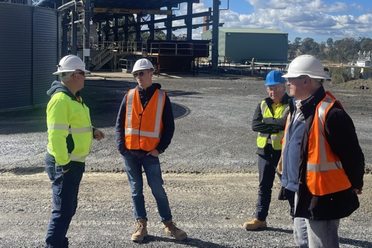 Article image for Larvotto Resources: Gold, antimony, tungsten – and now copper! Larvotto takes out ASX junior.