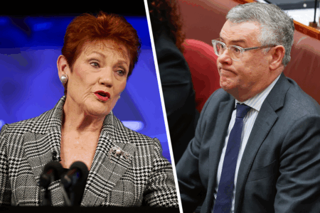 Federal government ‘really concerned’ by Pauline Hanson speech