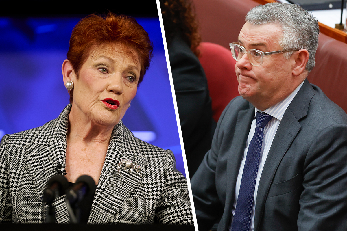 Article image for Federal government ‘really concerned’ by Pauline Hanson speech