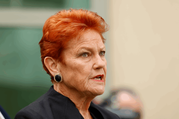 Pauline Hanson reveals number of immigrants she ‘would like to see' enter Australia each year