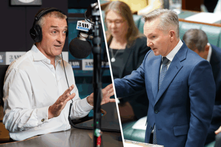 The reason Tom Elliott wonders whether Chris Bowen is fit for the federal energy minister job