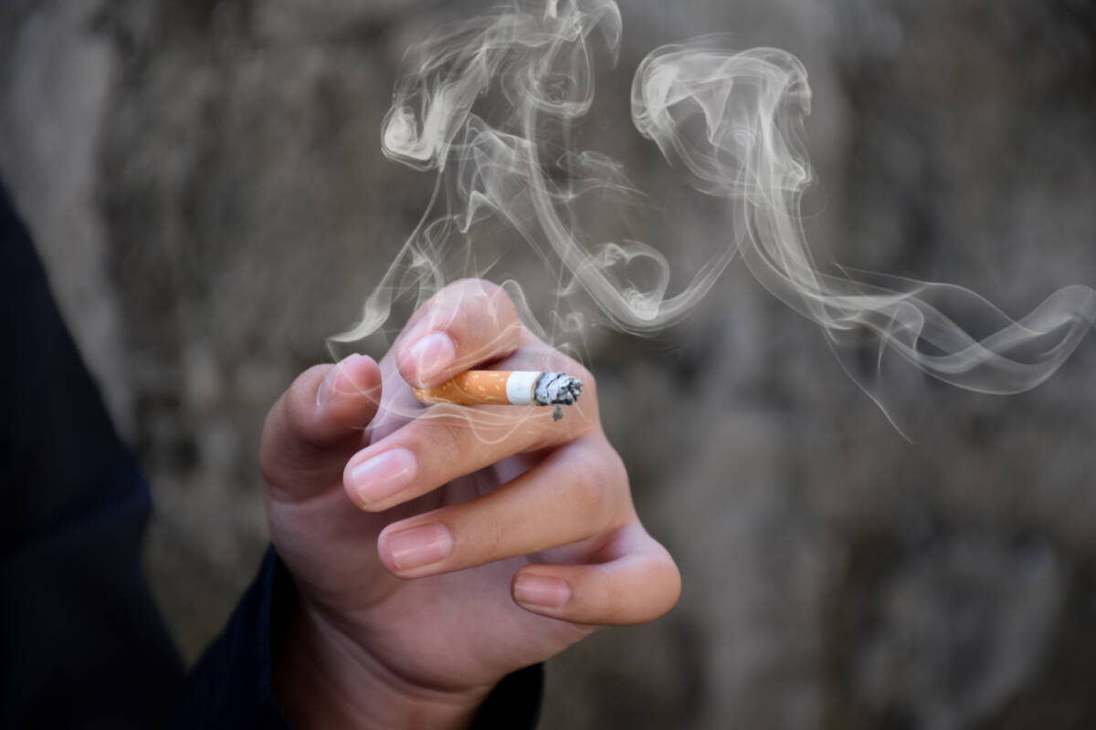 Article image for Illicit tobacco trade could cost taxpayers $12 billion in healthcare coverage