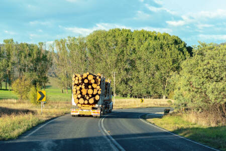 ‘It’s not surprising at all’: Victoria sourcing timber from alternative Australian state