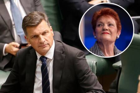 ‘One Nation is not the solution’: Opposition leader calls out ‘one-person show’ party