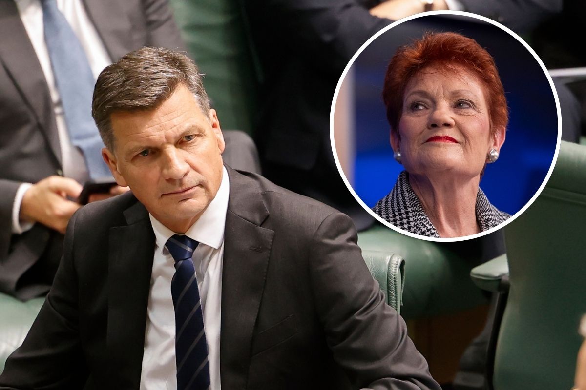 Article image for ‘One Nation is not the solution’: Opposition leader calls out ‘one-person show’ party