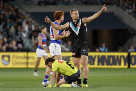 Joel Selwood weighs in on big fines for careless umpire contact