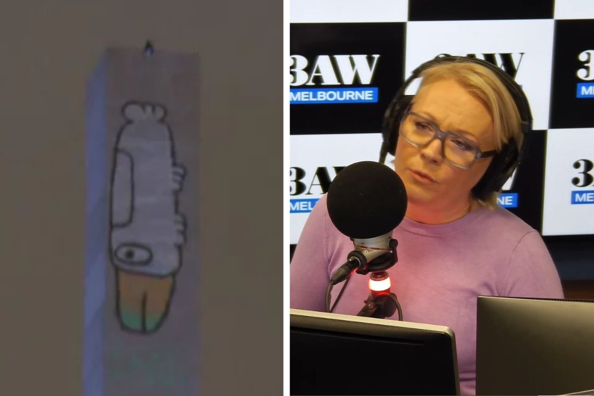 Article image for Heidi Murphy calls out ‘idiot vandal’ protesting on Bolte Bridge pylon