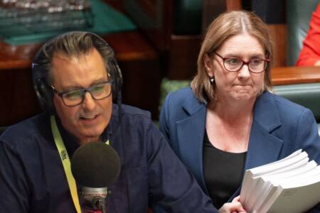 Why Mark Allen thinks the Labor Party is ‘the gift that keeps on giving’
