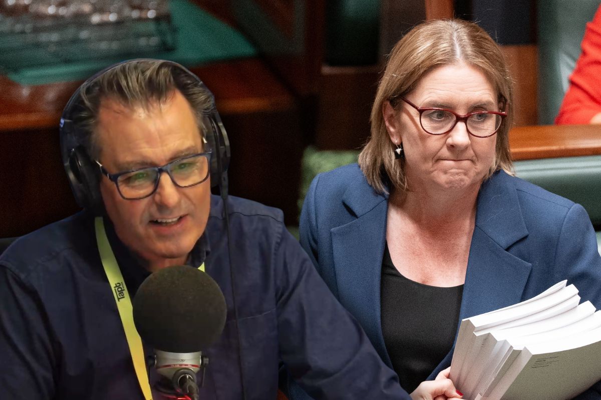 Article image for Why Mark Allen thinks the Labor Party is ‘the gift that keeps on giving’