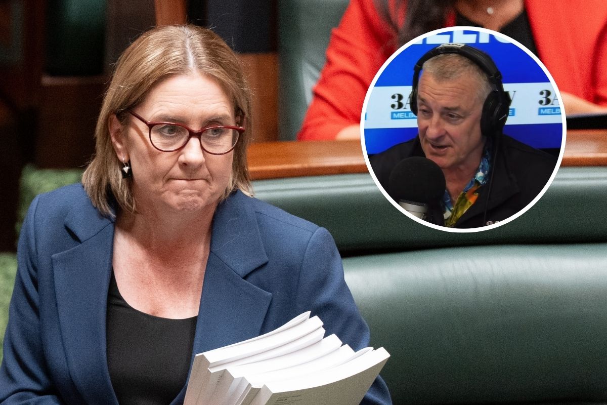 Article image for Why Tom Elliott wants Jacinta Allan to remain premier despite potential leadership challenge