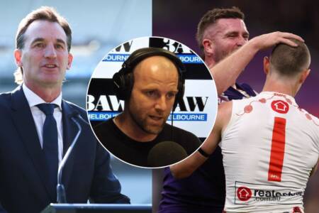What Sam Docherty thinks the AFL could do to help umpires, players and fans