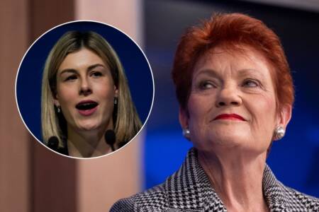 Jess Wilson questioned on Pauline Hanson’s One Nation ‘negativity’ claim
