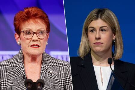 ‘You are not my enemy’: Pauline Hanson’s pointed message to Jess Wilson