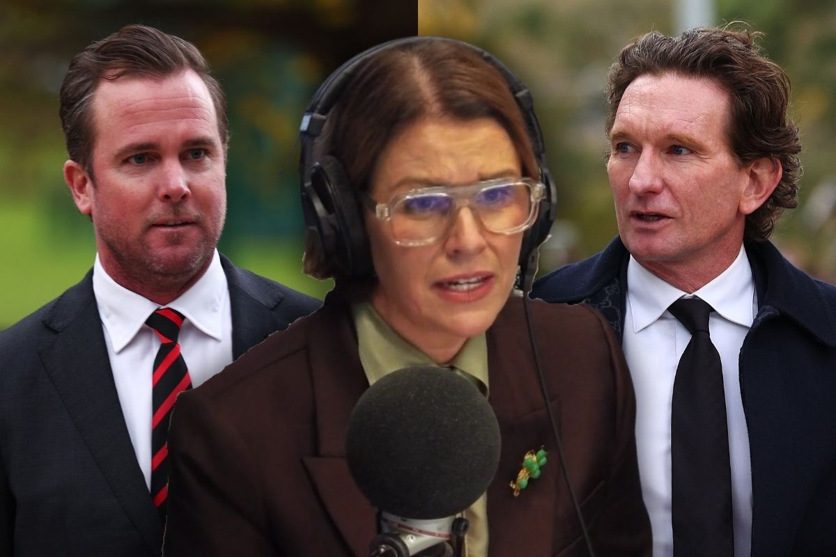 Article image for Essendon’s newest board member questioned on club’s direction and James Hird