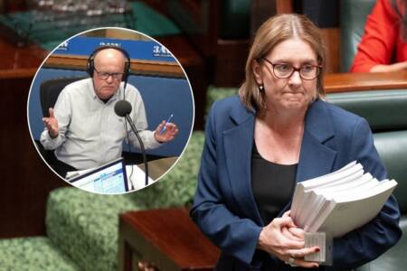 The ‘one way’ Sly thinks the Allan government can fix the crime and corruption in Victoria