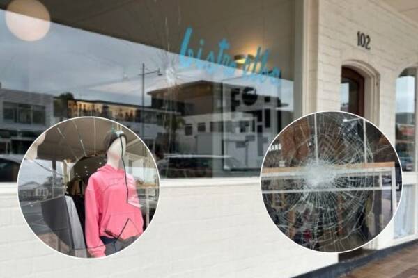 Multiple businesses fall victim to ‘senseless’ vandalism overnight