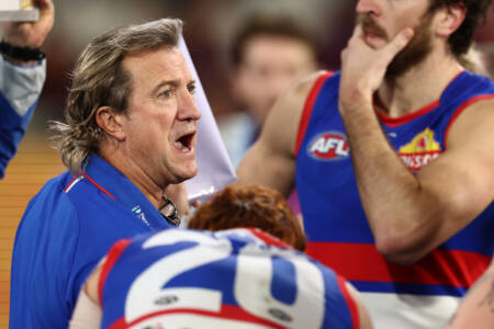 Brad Hardie fires back at Luke Beveridge’s critics