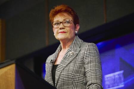 Tom Elliott hits out at ‘ridiculous’ One Nation ‘racist’ and ‘fascist’ condemnations