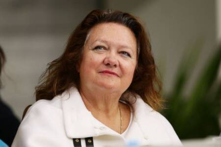 The aspect of the Gina Rinehart and ABC dispute Peter Ford finds ‘stupid’