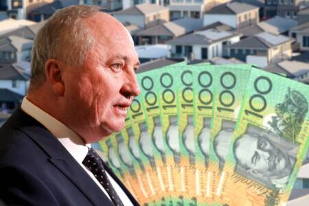 One Nation proposes new policy supporting housing payments with superannuation