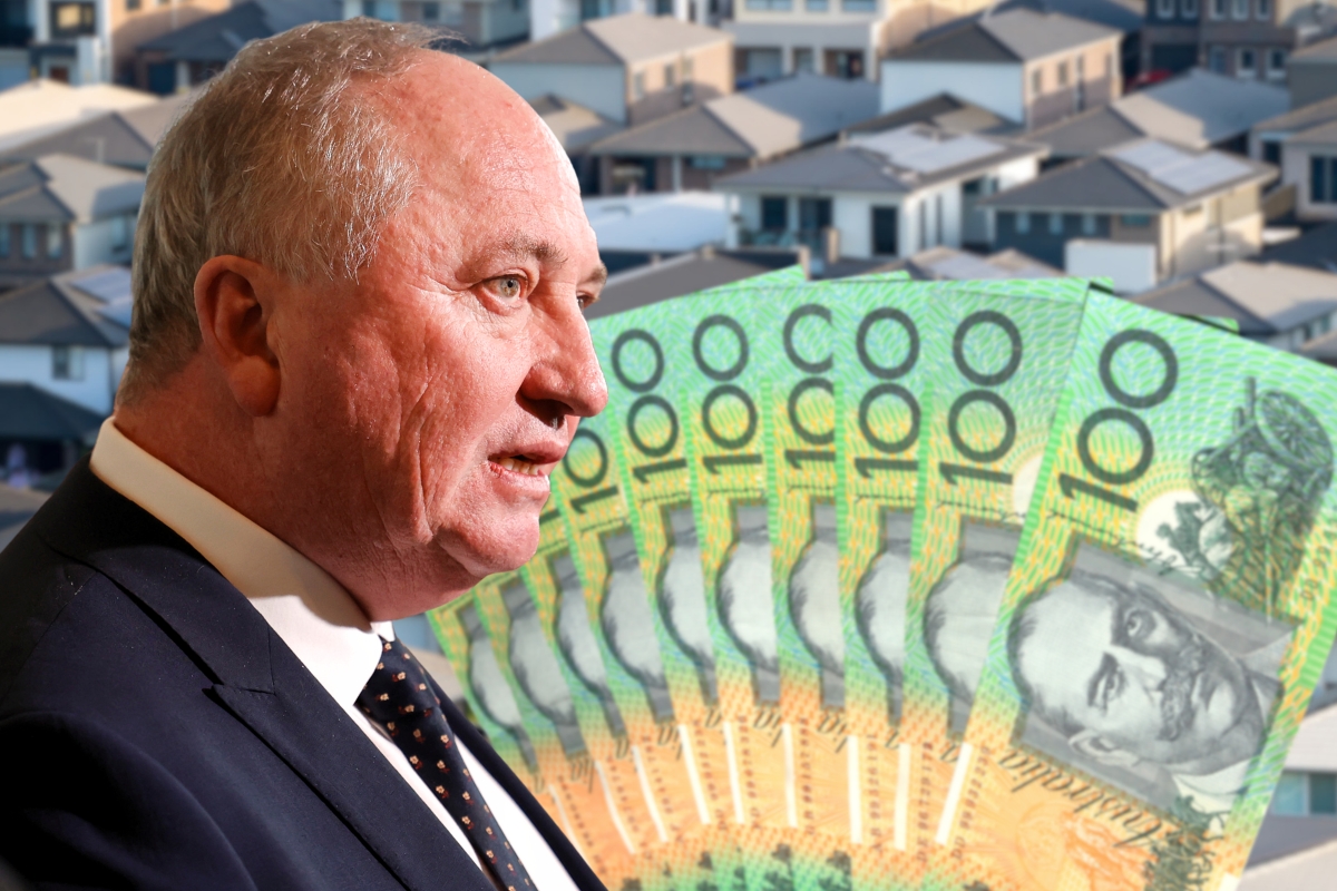 Article image for One Nation proposes new policy supporting housing payments with superannuation