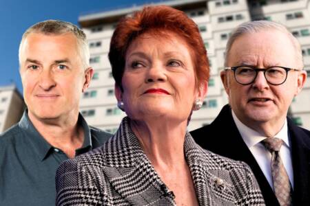Why Tom Elliott thinks Pauline Hanson ‘might be onto something’ regarding public housing