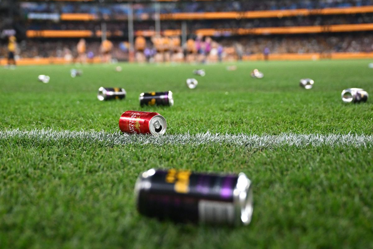 Article image for Tom Elliott calls out Hawks fans over poor behaviour following prelim final loss