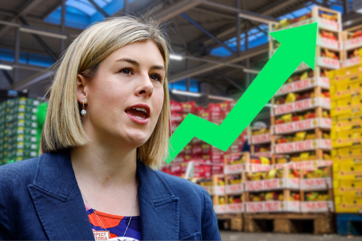 Article image for How Jess Wilson plans to add $600 million to state budget