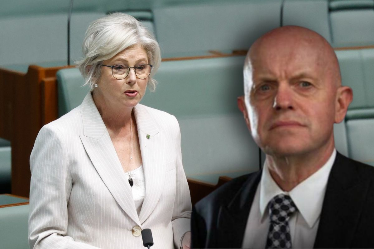 Article image for Sly shares how investigation into Helen Haines alleged attack will unfold